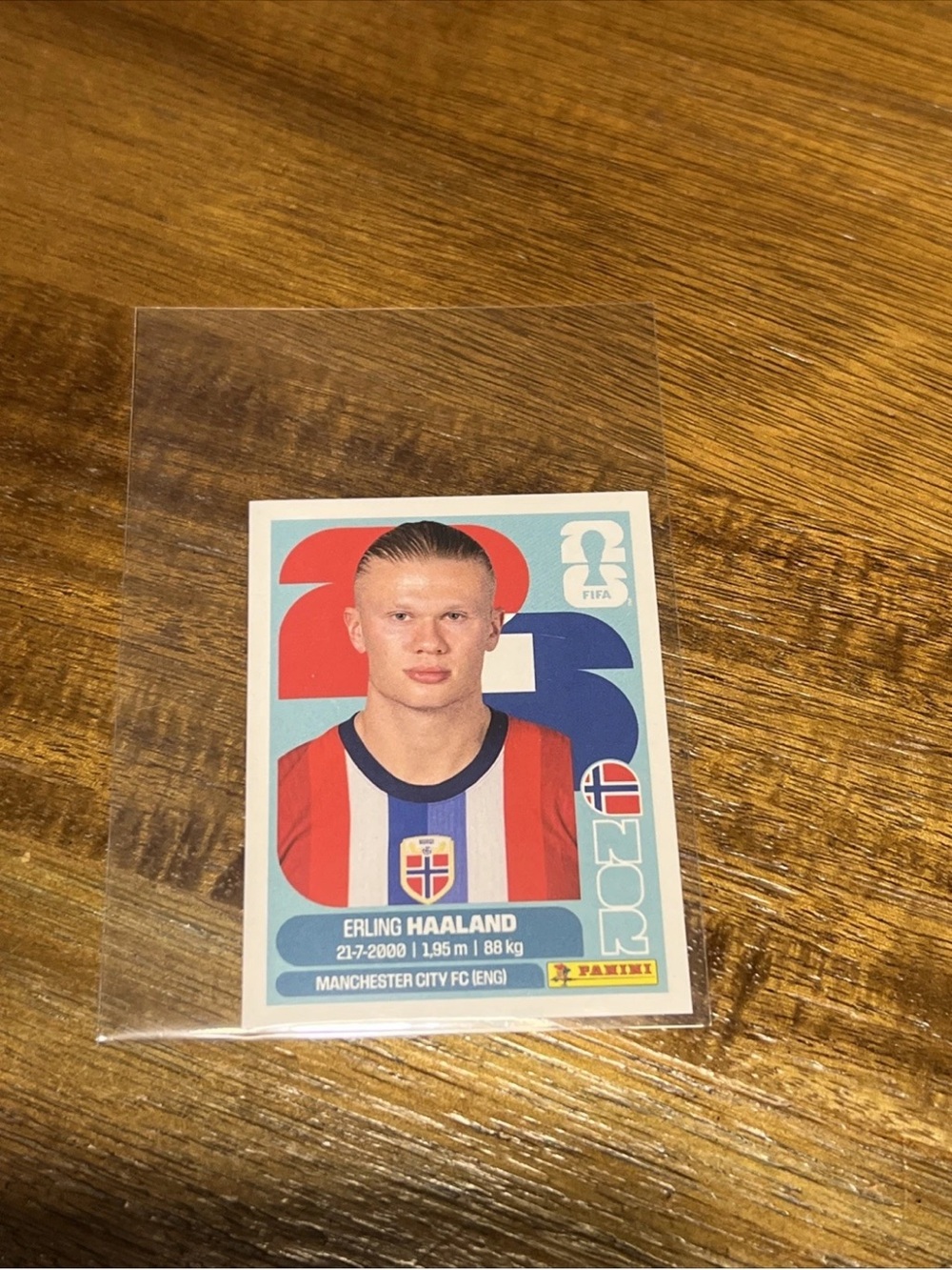 Panini FIFA 2026 World Cup Erling Haaland Sticker